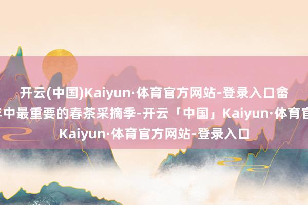 开云(中国)Kaiyun·体育官方网站-登录入口畲家盗窟迎来了一年中最重要的春茶采摘季-开云「中国」Kaiyun·体育官方网站-登录入口