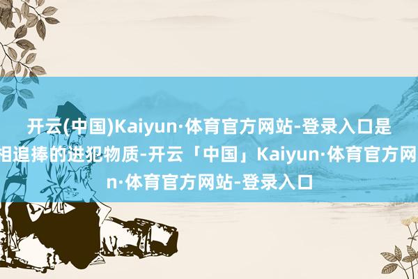开云(中国)Kaiyun·体育官方网站-登录入口是各大势力求相追捧的进犯物质-开云「中国」Kaiyun·体育官方网站-登录入口