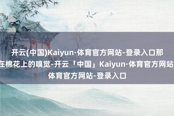 开云(中国)Kaiyun·体育官方网站-登录入口那种一拳打在棉花上的嗅觉-开云「中国」Kaiyun·体育官方网站-登录入口