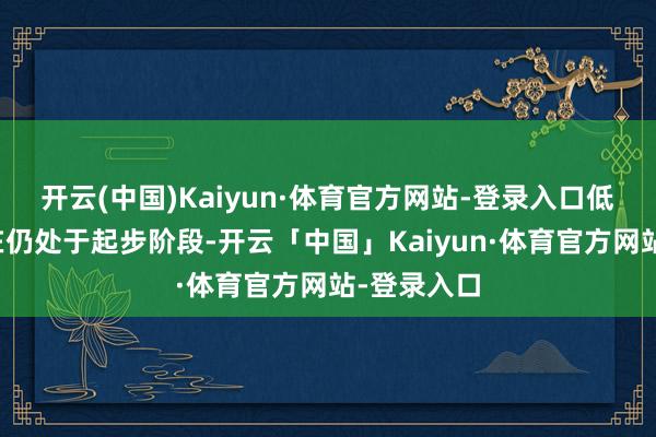开云(中国)Kaiyun·体育官方网站-登录入口低空经济现在仍处于起步阶段-开云「中国」Kaiyun·体育官方网站-登录入口