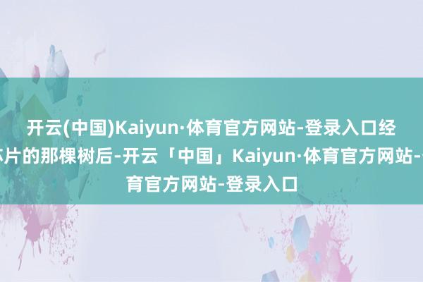 开云(中国)Kaiyun·体育官方网站-登录入口经过长着芯片的那棵树后-开云「中国」Kaiyun·体育官方网站-登录入口