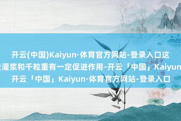 开云(中国)Kaiyun·体育官方网站-登录入口这些济急法子对改善冬小麦灌浆和千粒重有一定促进作用-开云「中国」Kaiyun·体育官方网站-登录入口