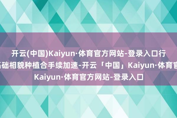 开云(中国)Kaiyun·体育官方网站-登录入口行家东谈主工智能基础相貌种植合手续加速-开云「中国」Kaiyun·体育官方网站-登录入口