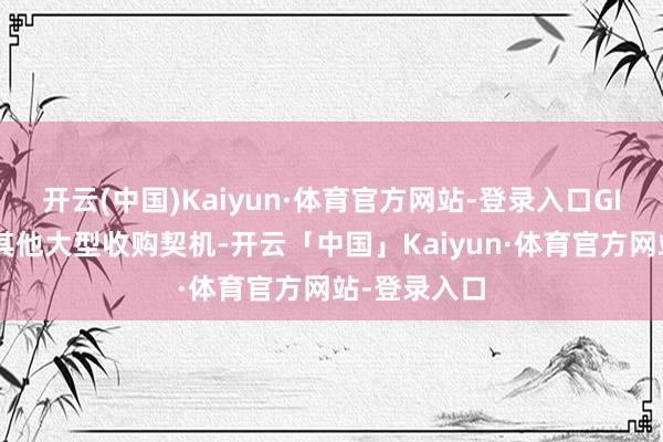 开云(中国)Kaiyun·体育官方网站-登录入口GIP还在关心其他大型收购契机-开云「中国」Kaiyun·体育官方网站-登录入口