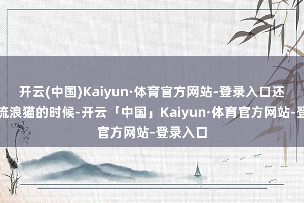 开云(中国)Kaiyun·体育官方网站-登录入口还有对待流浪猫的时候-开云「中国」Kaiyun·体育官方网站-登录入口
