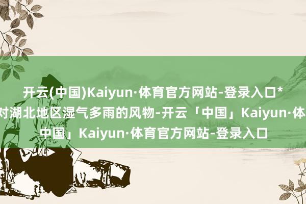 开云(中国)Kaiyun·体育官方网站-登录入口*防腐与防锈决议：针对湖北地区湿气多雨的风物-开云「中国」Kaiyun·体育官方网站-登录入口