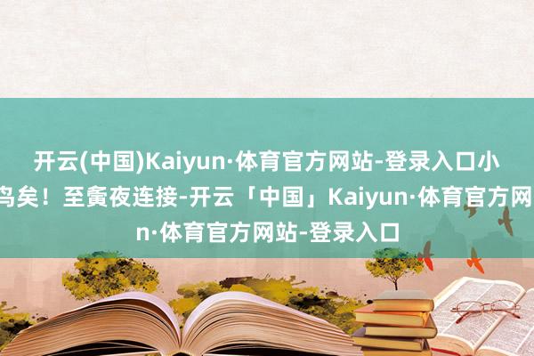开云(中国)Kaiyun·体育官方网站-登录入口小乙曰：鼠捕鸟矣！至夤夜连接-开云「中国」Kaiyun·体育官方网站-登录入口